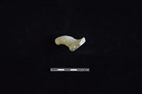 藏品(陶把)的圖片